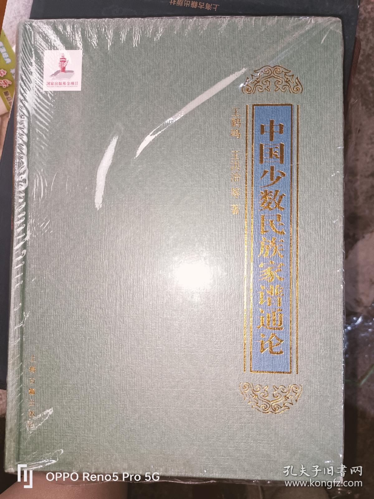 中国少数民族家谱通论（16开精装1版1印）