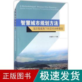 智慧城市规划方 建筑设计 徐建刚 等 著 新华正版