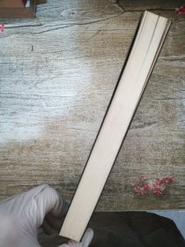 九州缥缈录Ⅴ 一生之盟