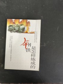 中学生素质教育丛书：钢铁是怎样炼成的