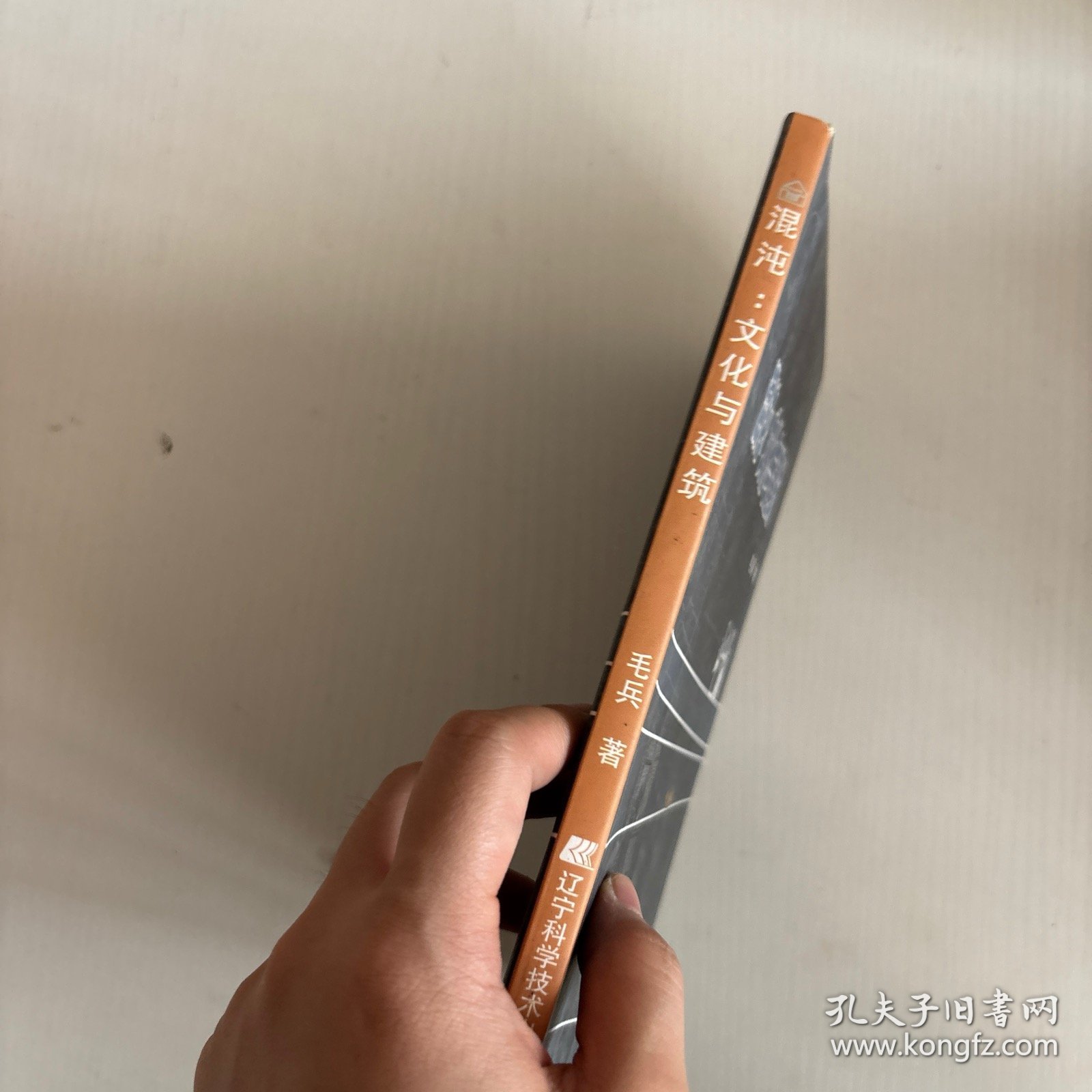 混沌：文化与建筑