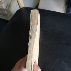 赖宁作文日记选