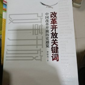 改革开放关键词：中国改革开放历史通览