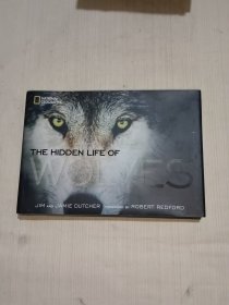 The Hidden Life of Wolves