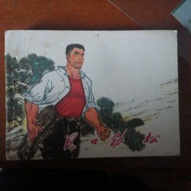 风口劲松