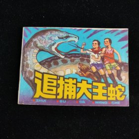 追捕大王蛇 连环画