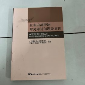 企业内部控制常见审计问题及案例