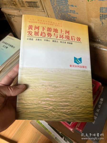 黄河下游地上河发展趋势与环境后效——“八五”国家重点科技攻关项目“黄河治理与水资源开发利用”系列专著