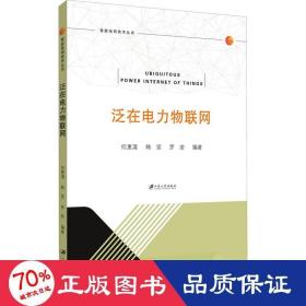 泛在电力物联网/智能电网技术丛书