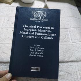 Chenical Processes in Inorganic Materials:Metal and Semiconductor Clusters and Colloids【精装 大32开 详情看图  书边有点水印，品看图】