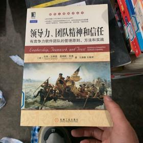 软件工程技术丛书·领导力、团队精神和信任：有竞争力软件团队的管理原则、方法和实践