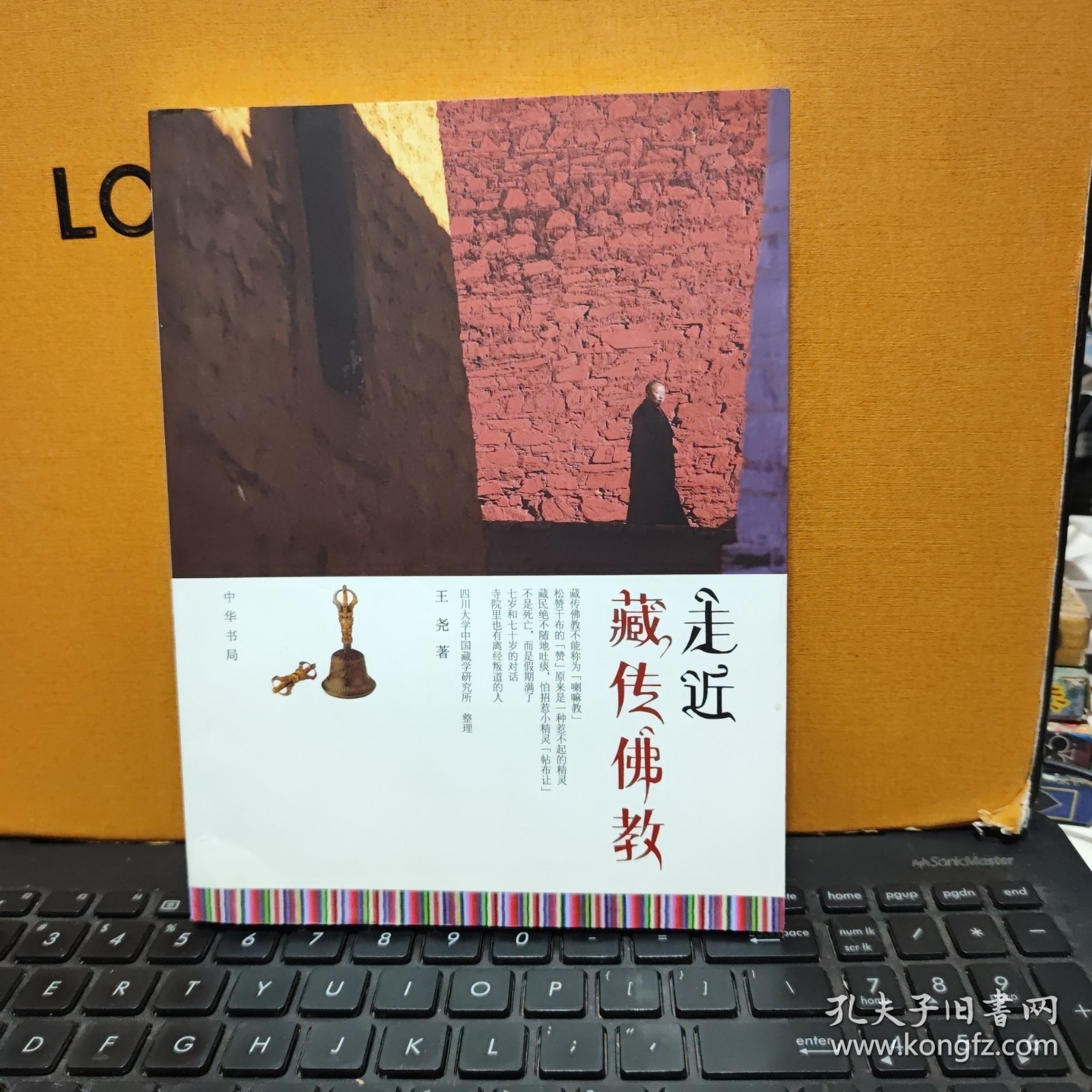 走近藏传佛教（内页干净无笔记，插图多，详细参照书影）