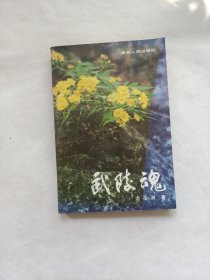 武陵魂