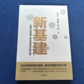 新基建：全球大变局下的中国经济新引擎任泽平新作（与普通版随机发货）