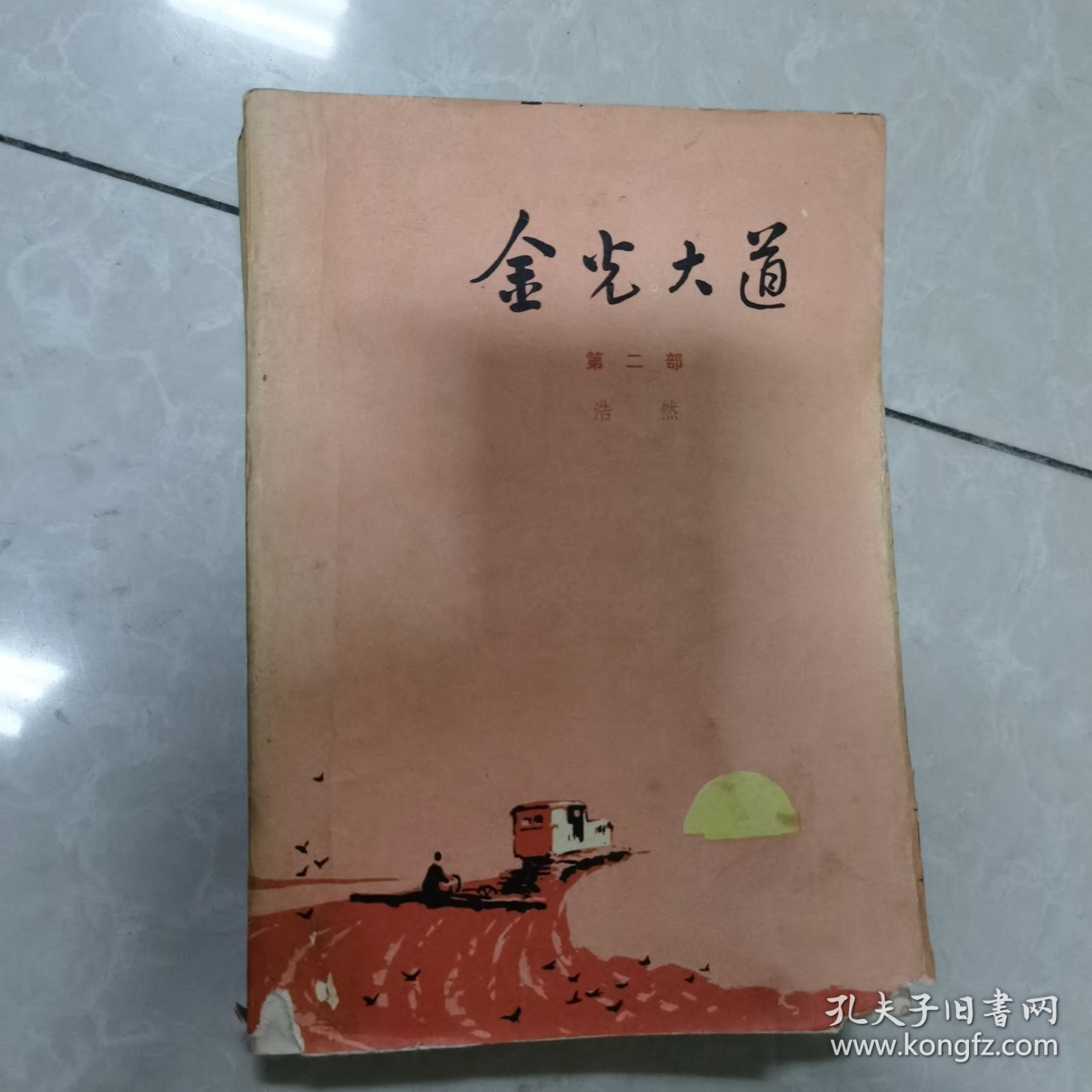金光大道第二部