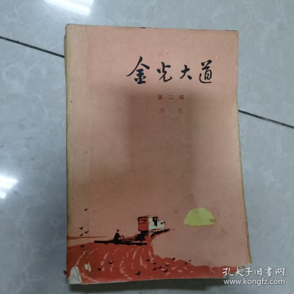 金光大道第二部