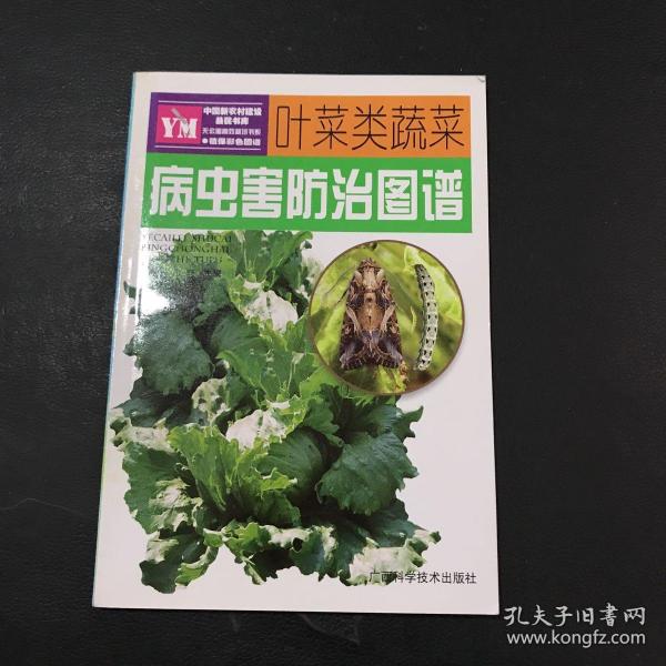 叶菜类蔬菜病虫害防治图谱