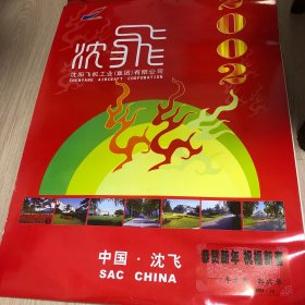 旧藏挂历2002年中国沈飞 飞机摄影 14全