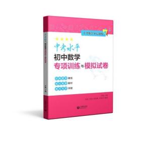 中考水平初中数学专项训练与模拟试卷