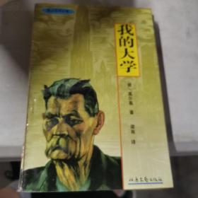 我的大学-高尔基精品集