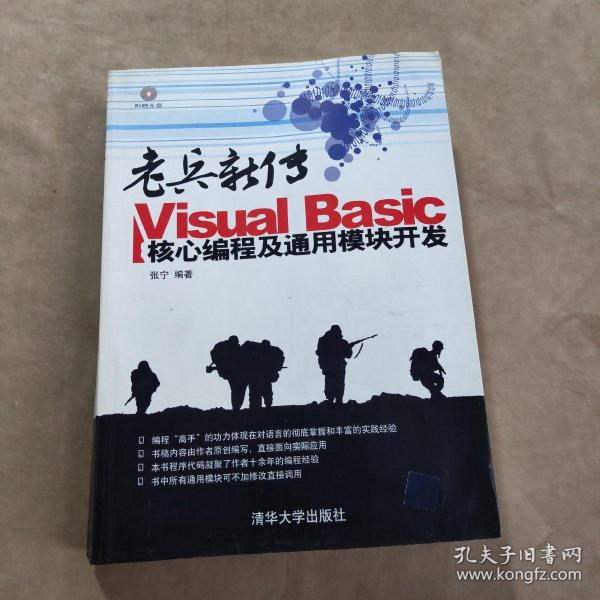 老兵新传：Visual Basic核心编程及通用模块开发