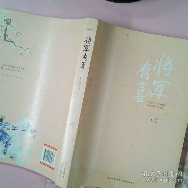 将军有喜2.终结篇