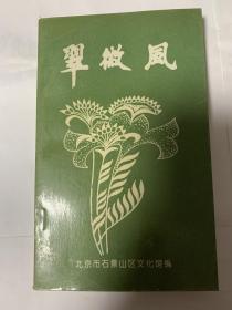 翠微风 第六集