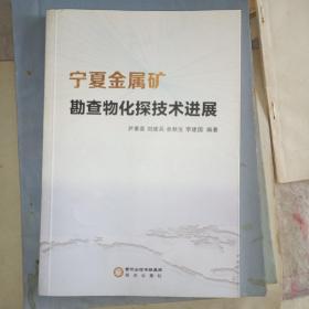 宁夏金属矿勘察物化探技术进展