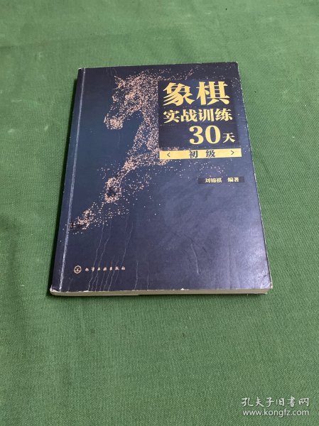 象棋实战训练30天（初级）