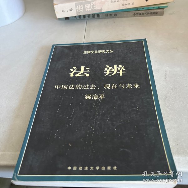 法辨：中国法的过去、现在与未来