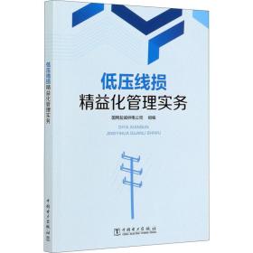 低压线损精益化管理实务 水利电力  新华正版