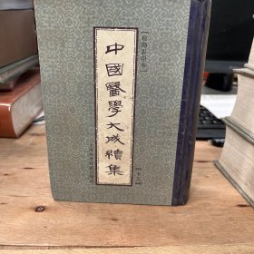 中国医学大成续集13 方剂