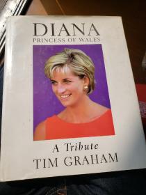 英文原版 大精装 戴安娜 Diana, Princess of Wales: A Tribute