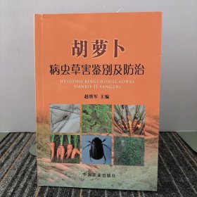 胡萝卜病虫草害鉴别及防治