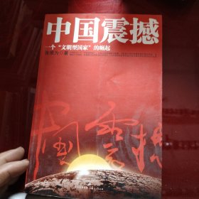 中国震撼：一个“文明型国家”的崛起