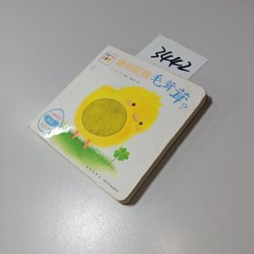 小鸡球球触感玩具书：谁的屁股毛茸茸？（点读版）