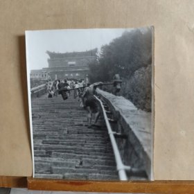 老照片 : 活着！(泰山挑夫)15cmx13cm