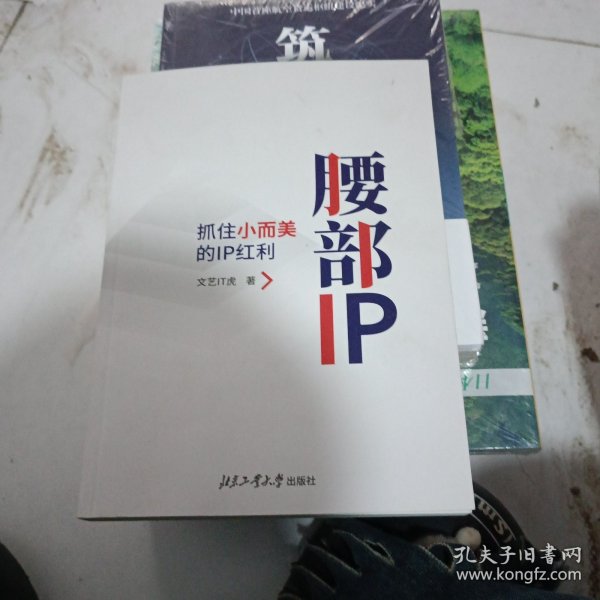 腰部IP：抓住小而美的IP红利