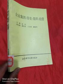 企业集团：历史.组织.经营