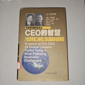 CEO的智慧:29位世界级CEO畅谈21世纪面临的经营挑战