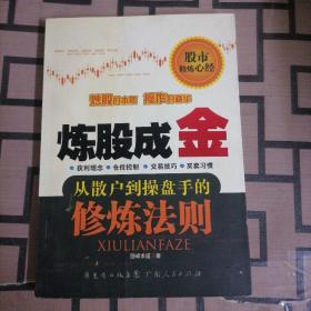 炼股成金：从散户到操盘手的修炼法则