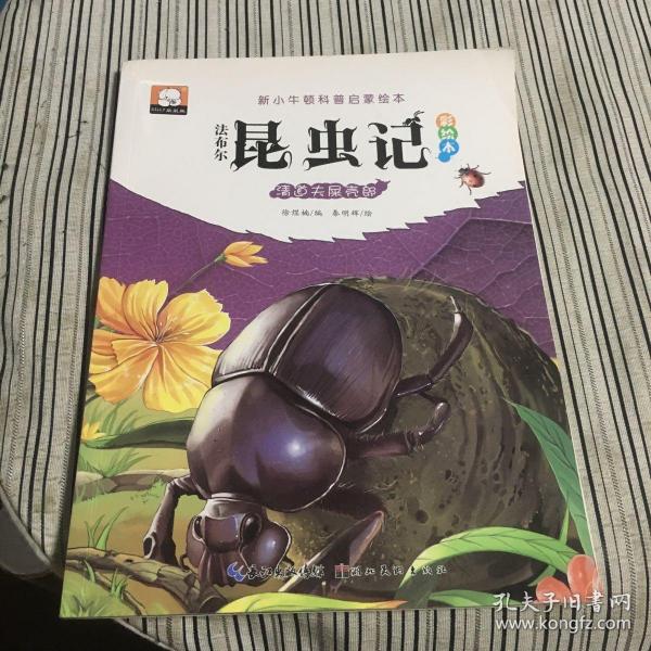 法布尔昆虫记（彩绘本）·清道夫屎壳郎