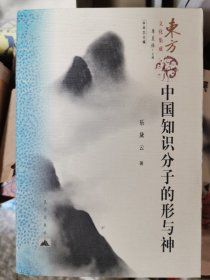 中国知识分子的形与神 全新正版