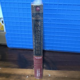 世界文学名著典藏·全译本：钢铁是怎样炼成的（新版）