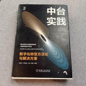 中台实践：数字化转型方法论与解决方案