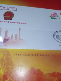 广东省第十二届人民代表大会第一次会议珍藏纪念册（有一版脱胶）