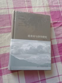 沈奇诗与诗学研究（未拆封如图精装）