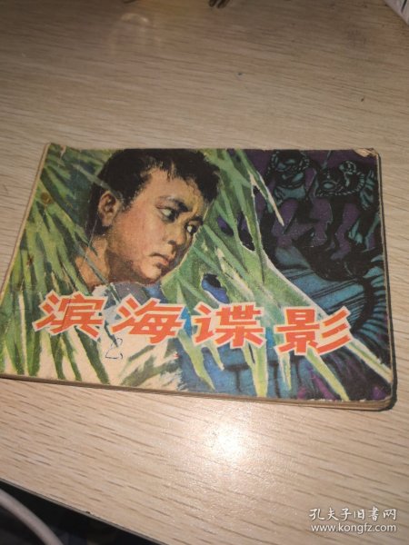 连环画：滨海谍影