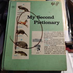 my second pictionary   英文版