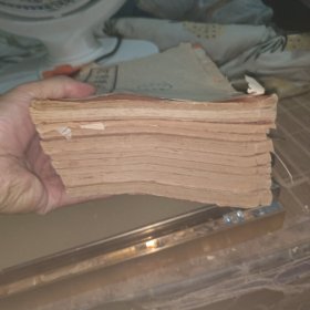 河源县志，同治版，1-9全